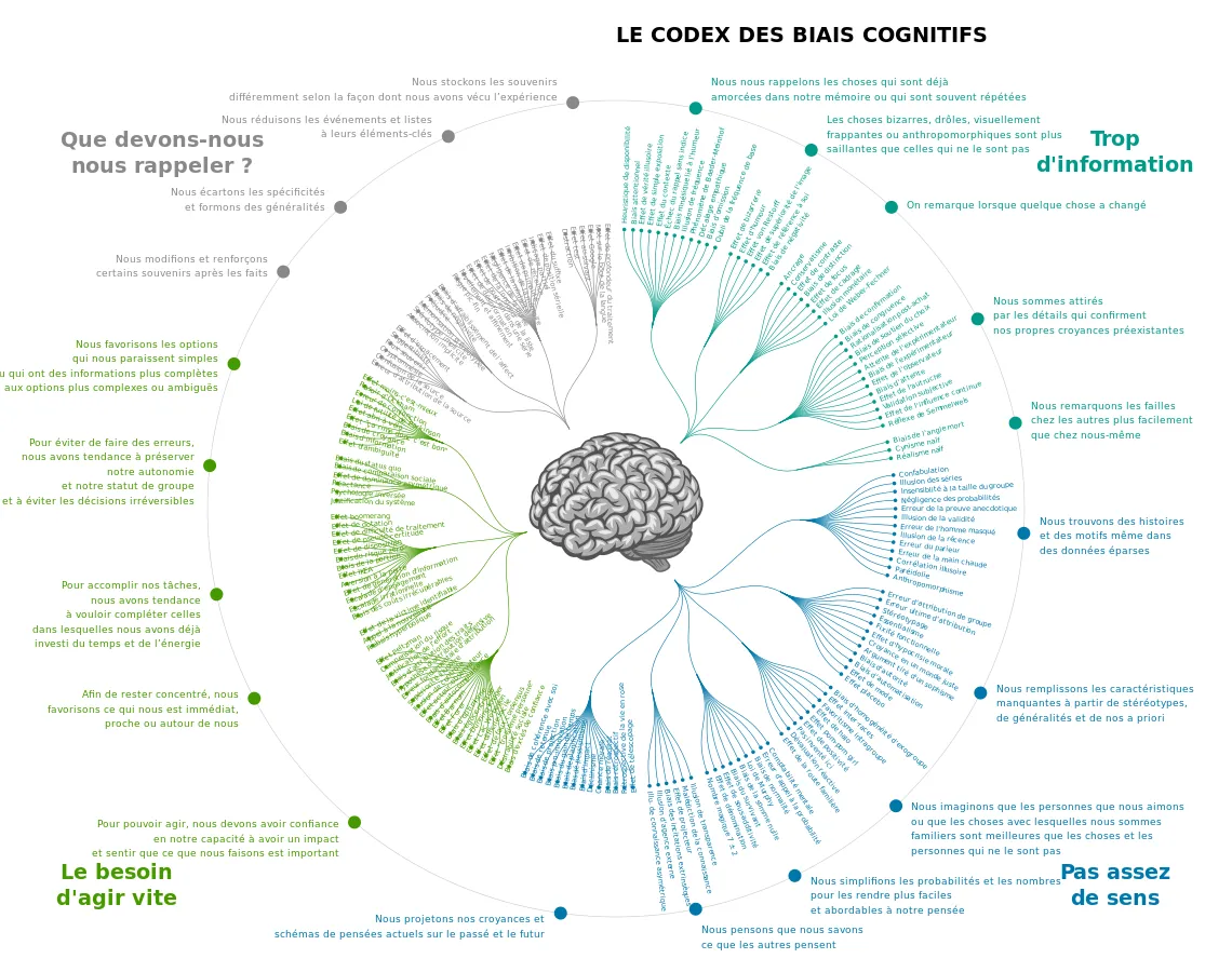 « Le codex des biais cognitifs » : schéma des biais classés en quatre familles autour d’un cerveau
